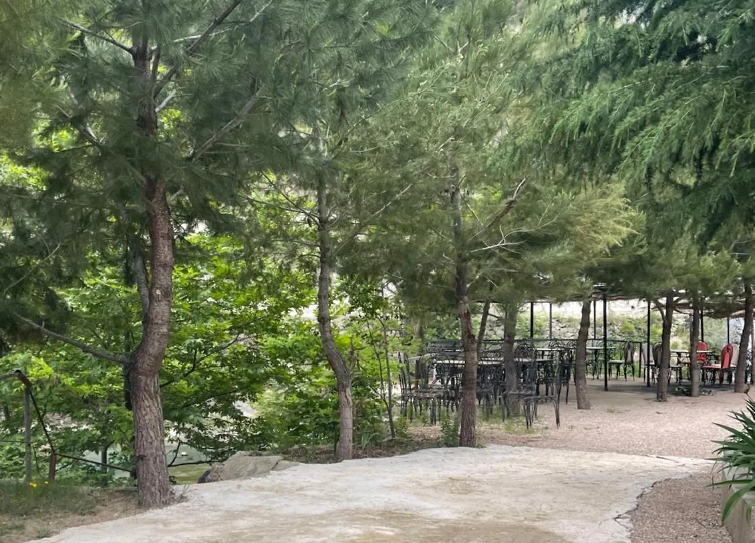 Bovilla Canyon Dajti